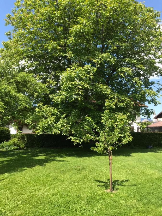 Villa Nussbaum Golling an der Salzach Bagian luar foto